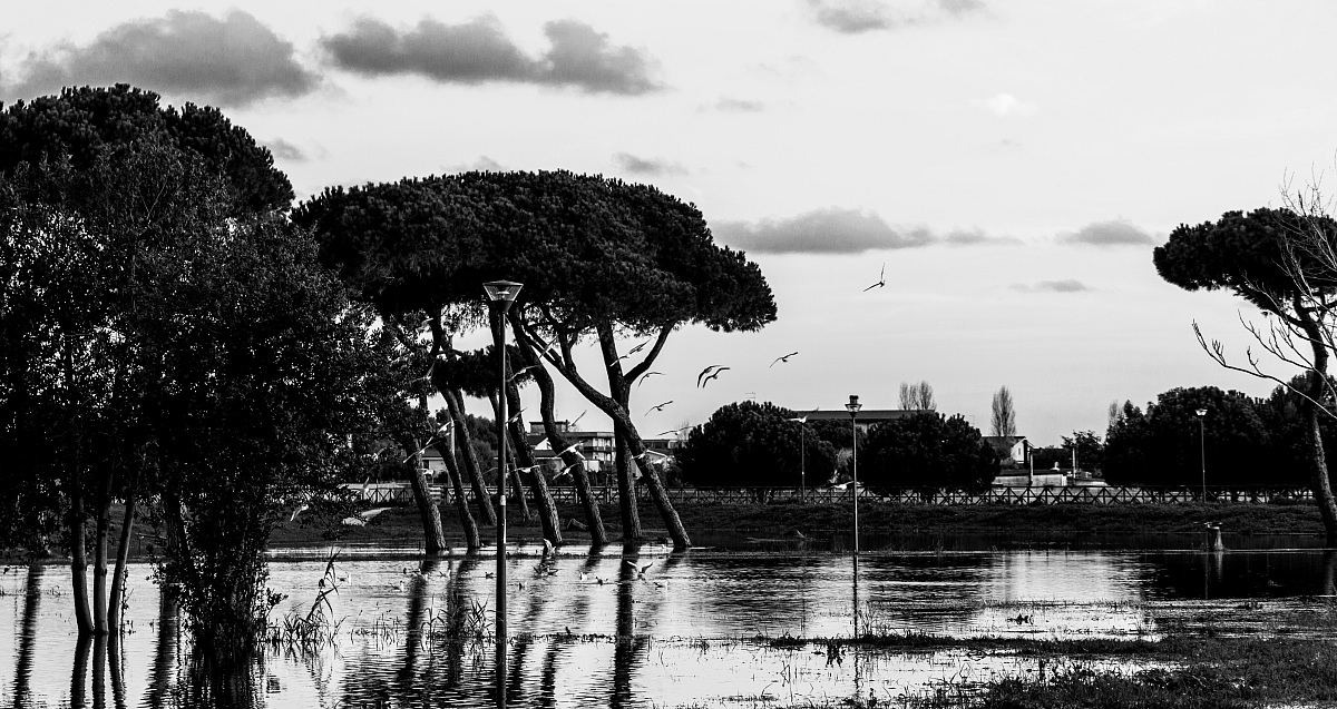 Parco Acquatico Villa Guglielmi
