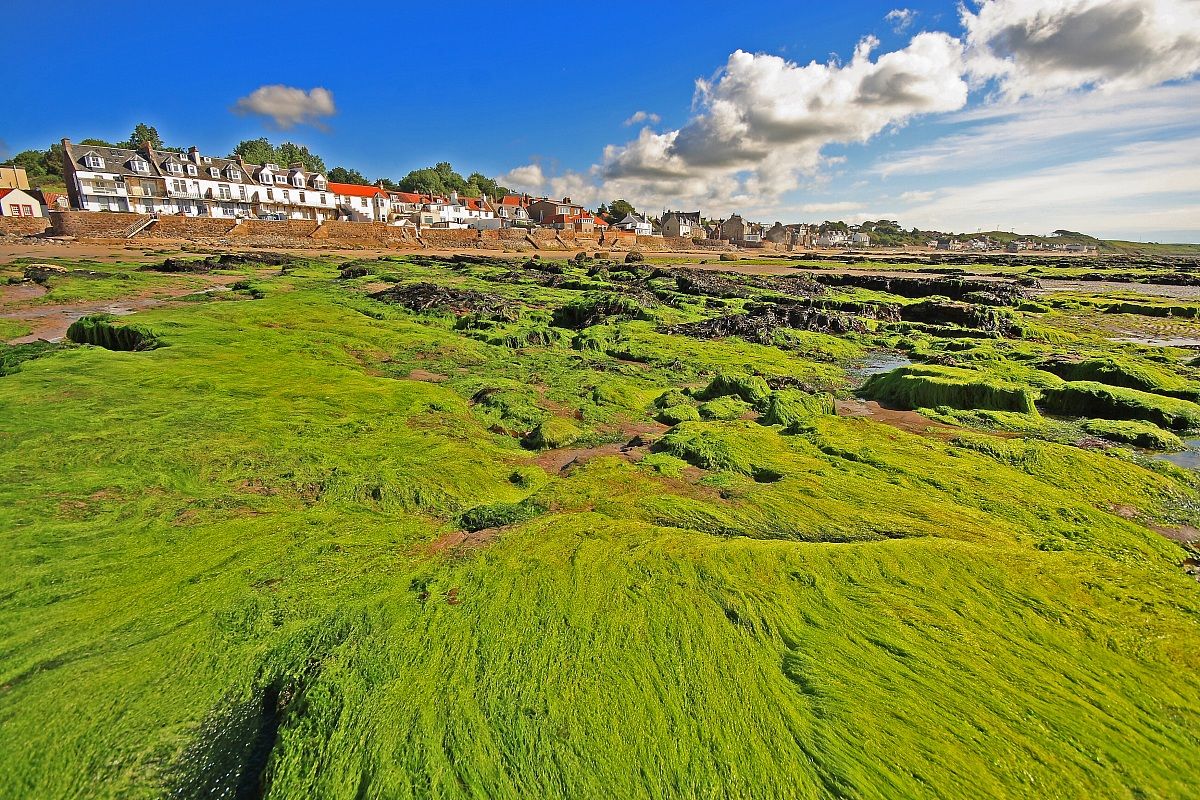 Saint Andrews beach - Fife - Scotland