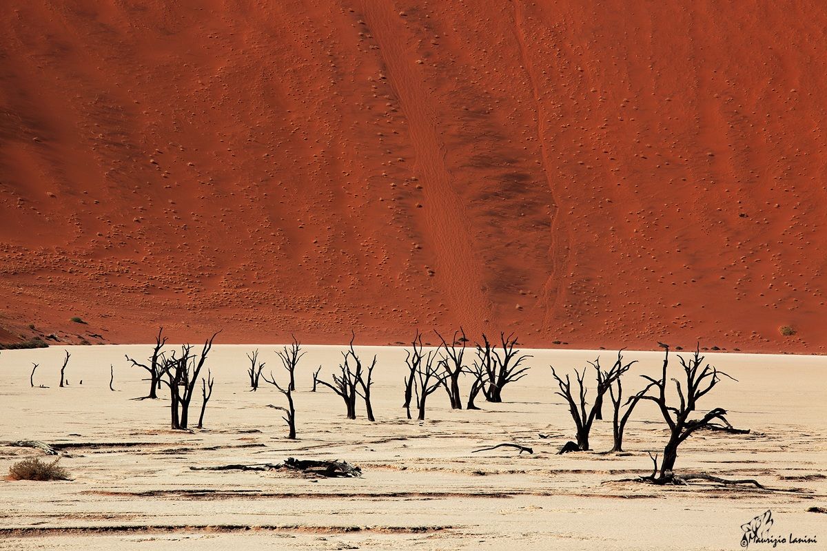 Gli scheletri di Dead Vlei