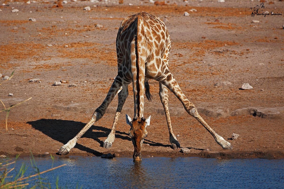 Quanto è bassa l'acqua!!!