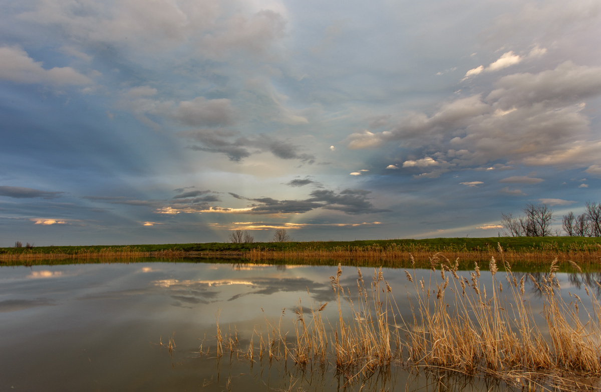 Riflessioni di fine giornata