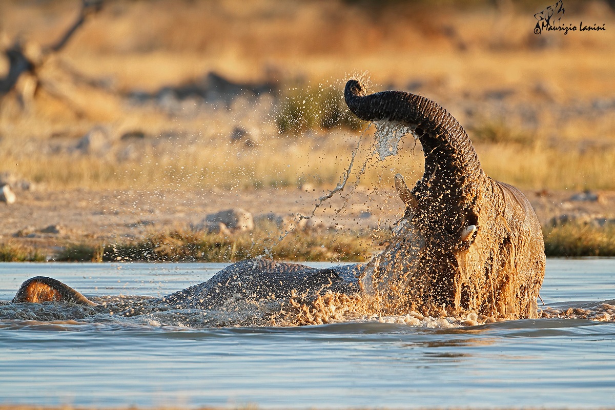 Finalmente una pozza in cui sguazzare!!!