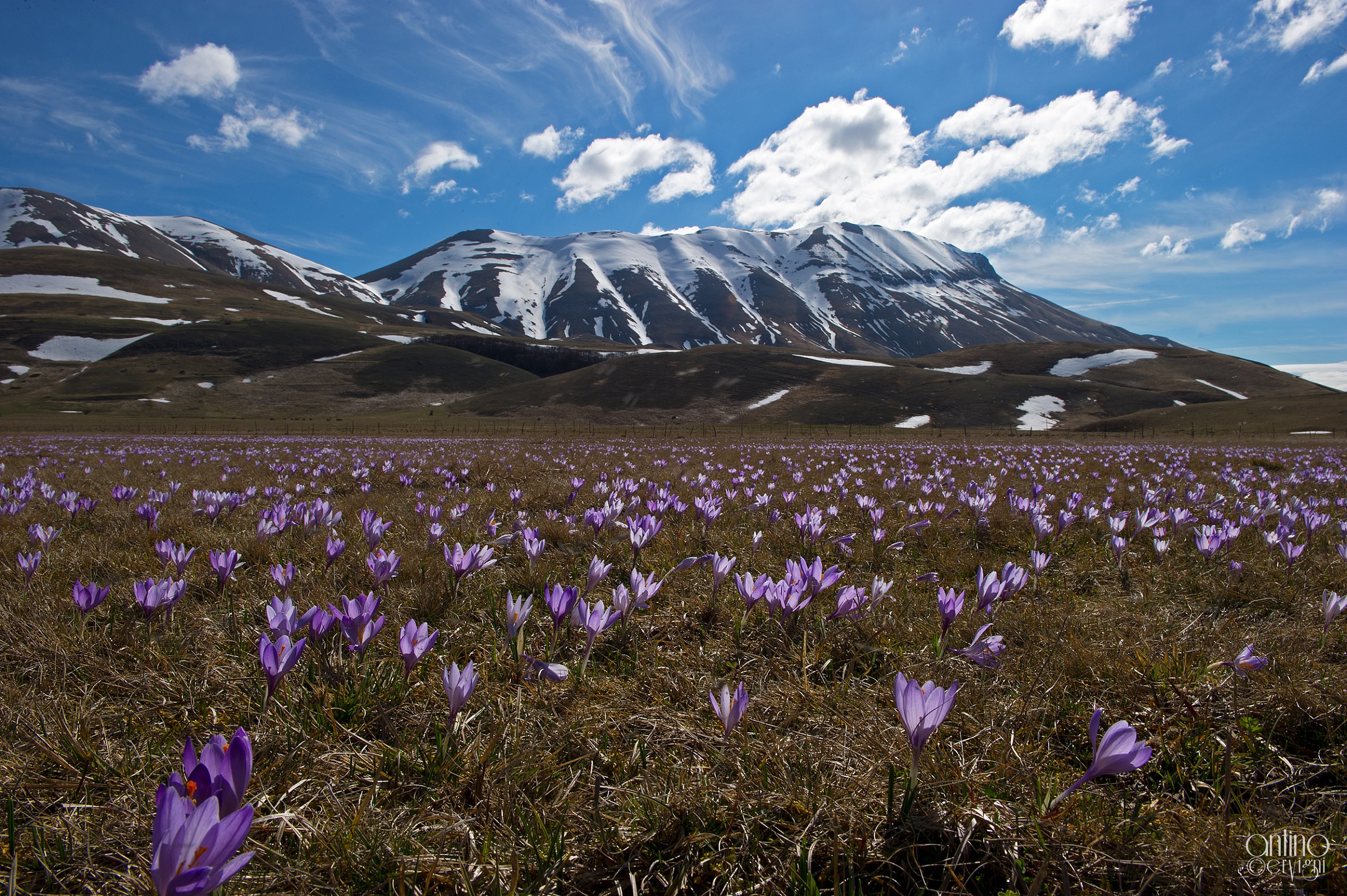 Castelluccio