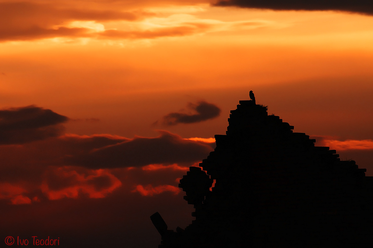 L'Agnese và a morire.