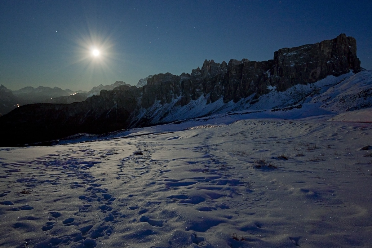 Moon Light on Snow