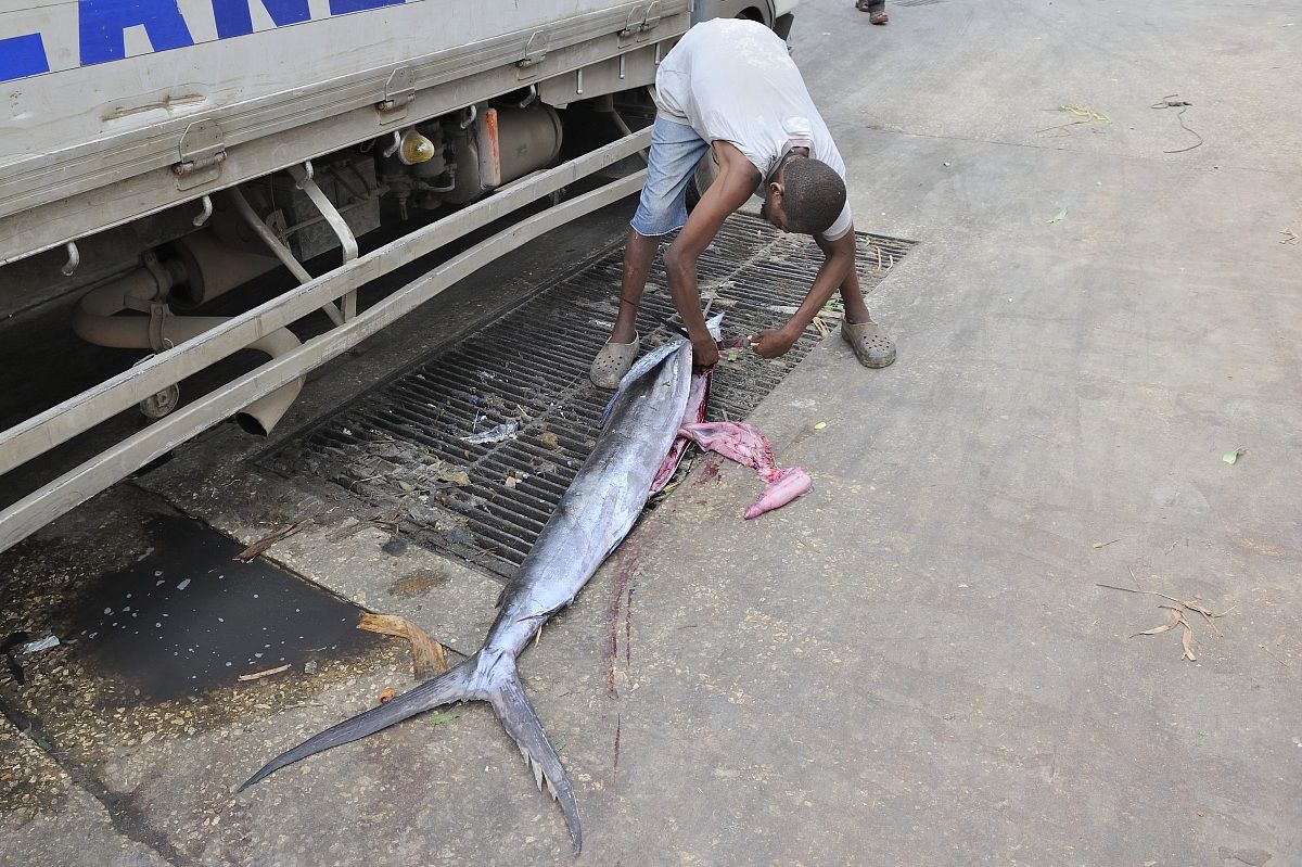Qusi pronto per essere cucinato