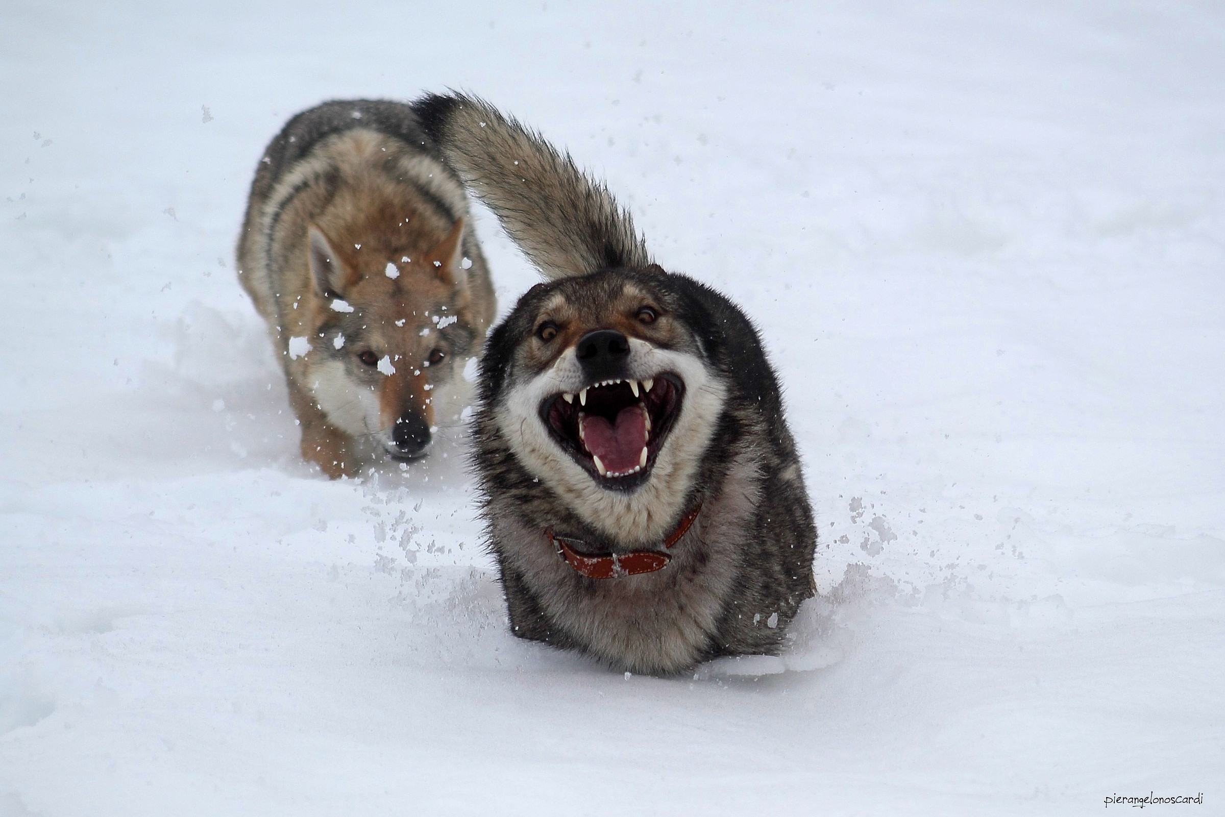 And this ... what do you want?!