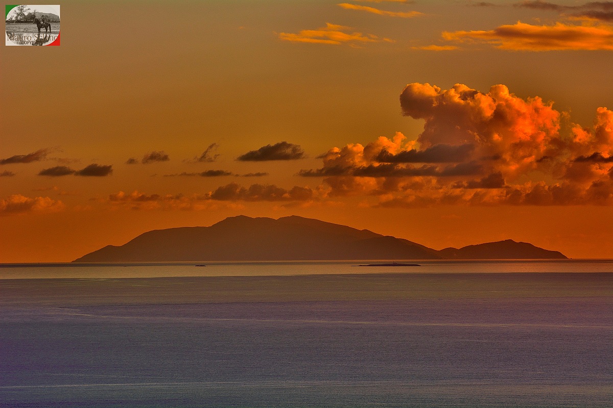 isola del Giglio con le formiche