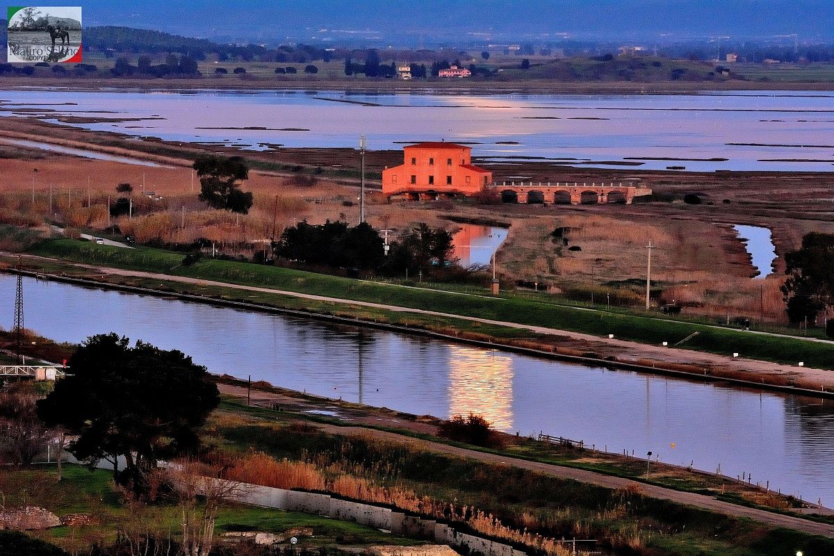 con riflessi di luna