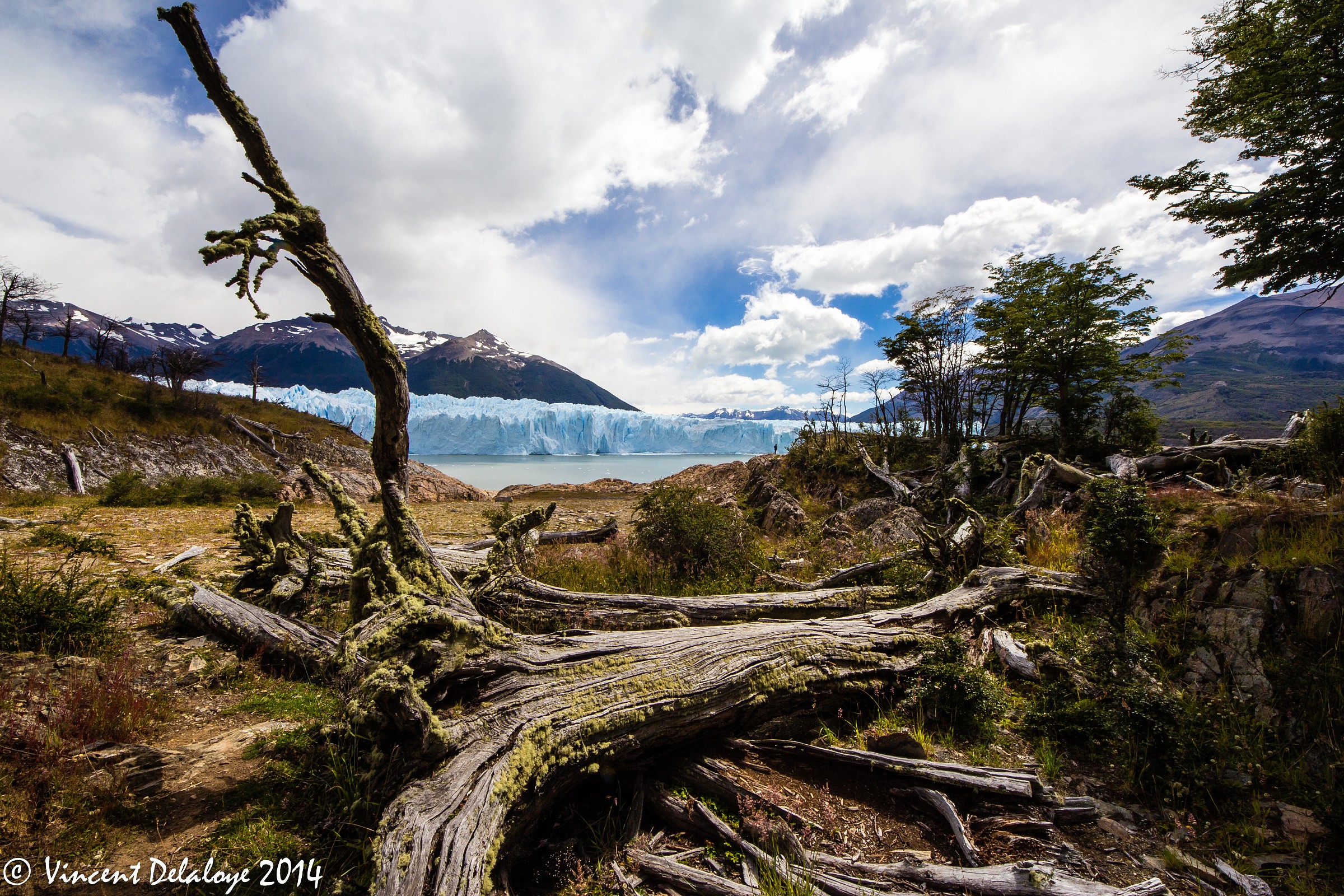 Perito Moreno, El Calafate