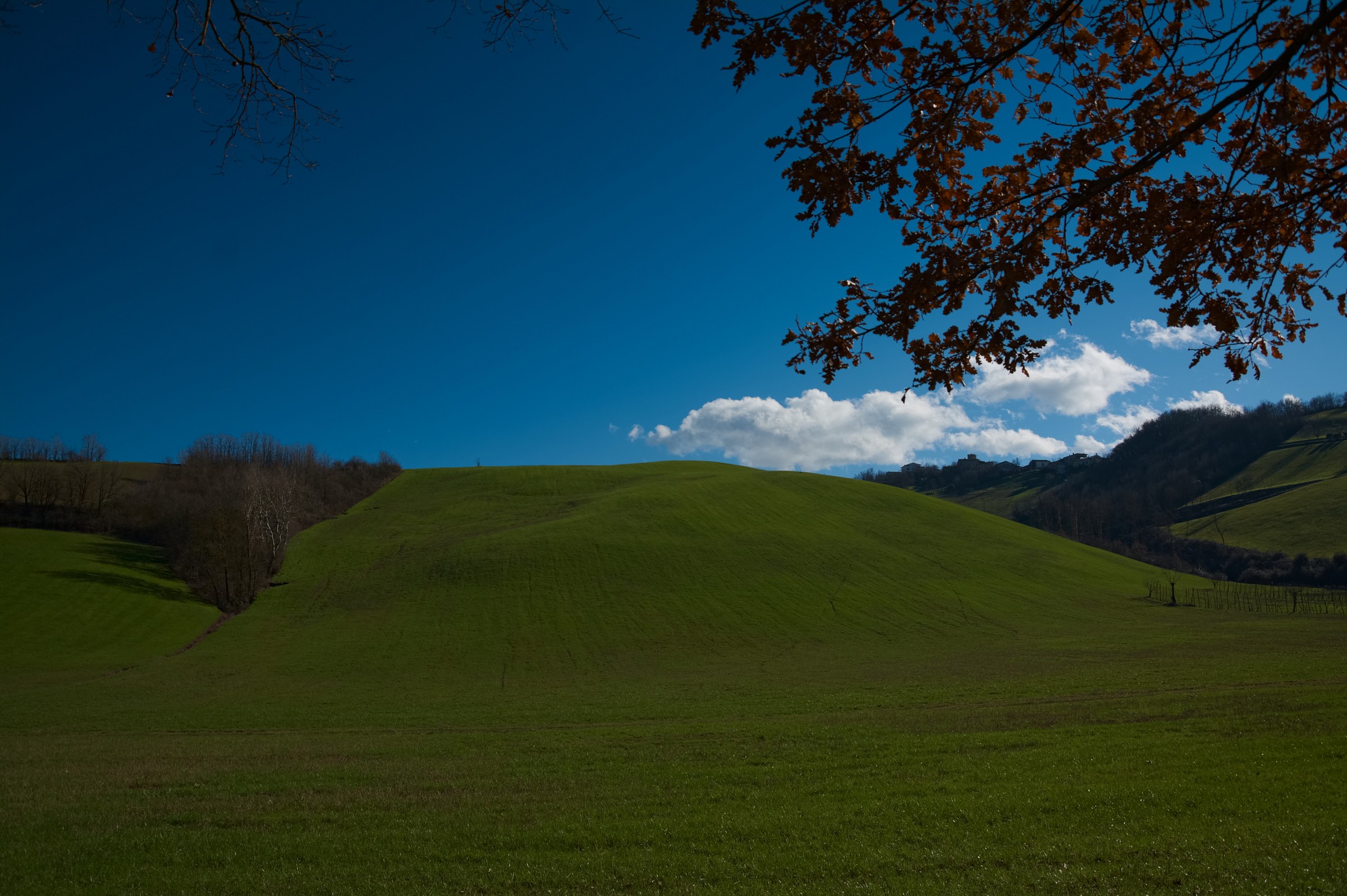 Spendida giornata di febbraio 2014