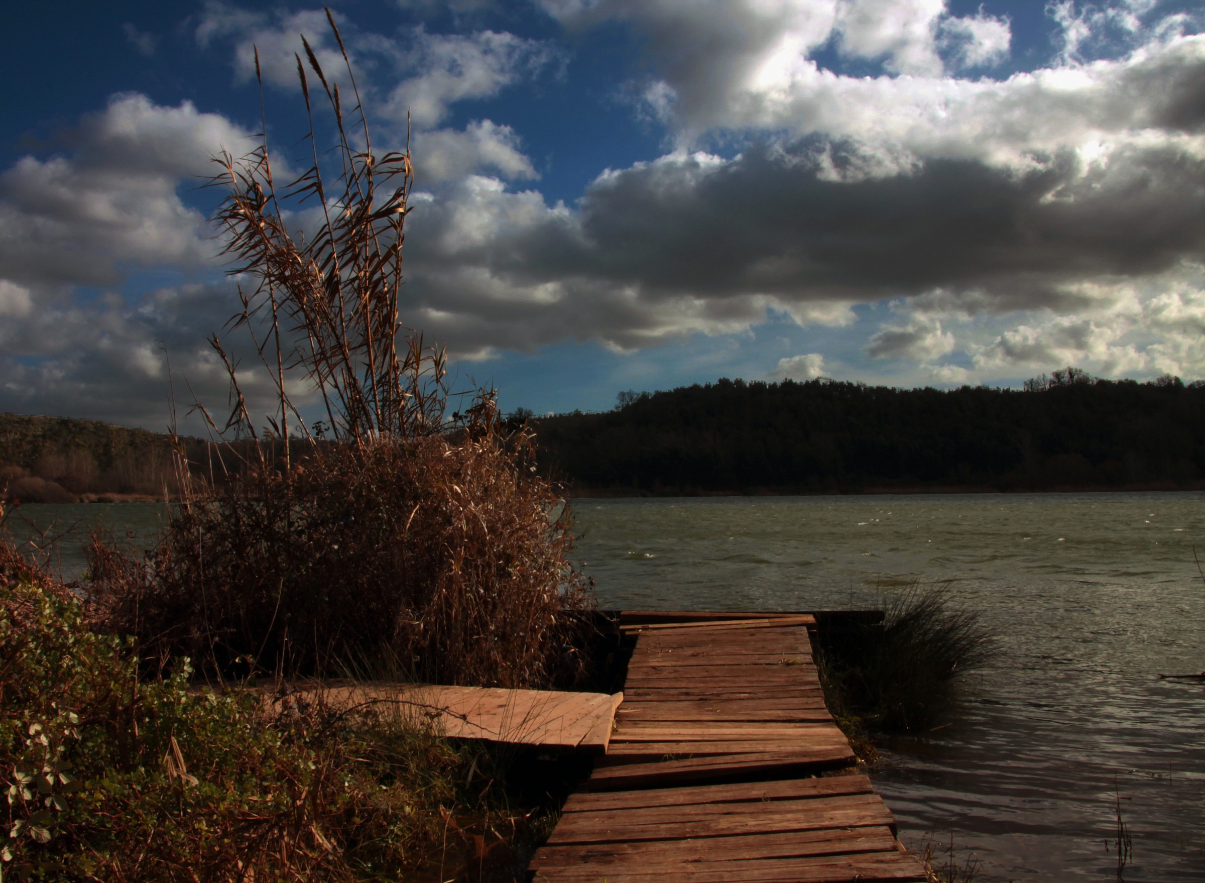 Dock on the pond
