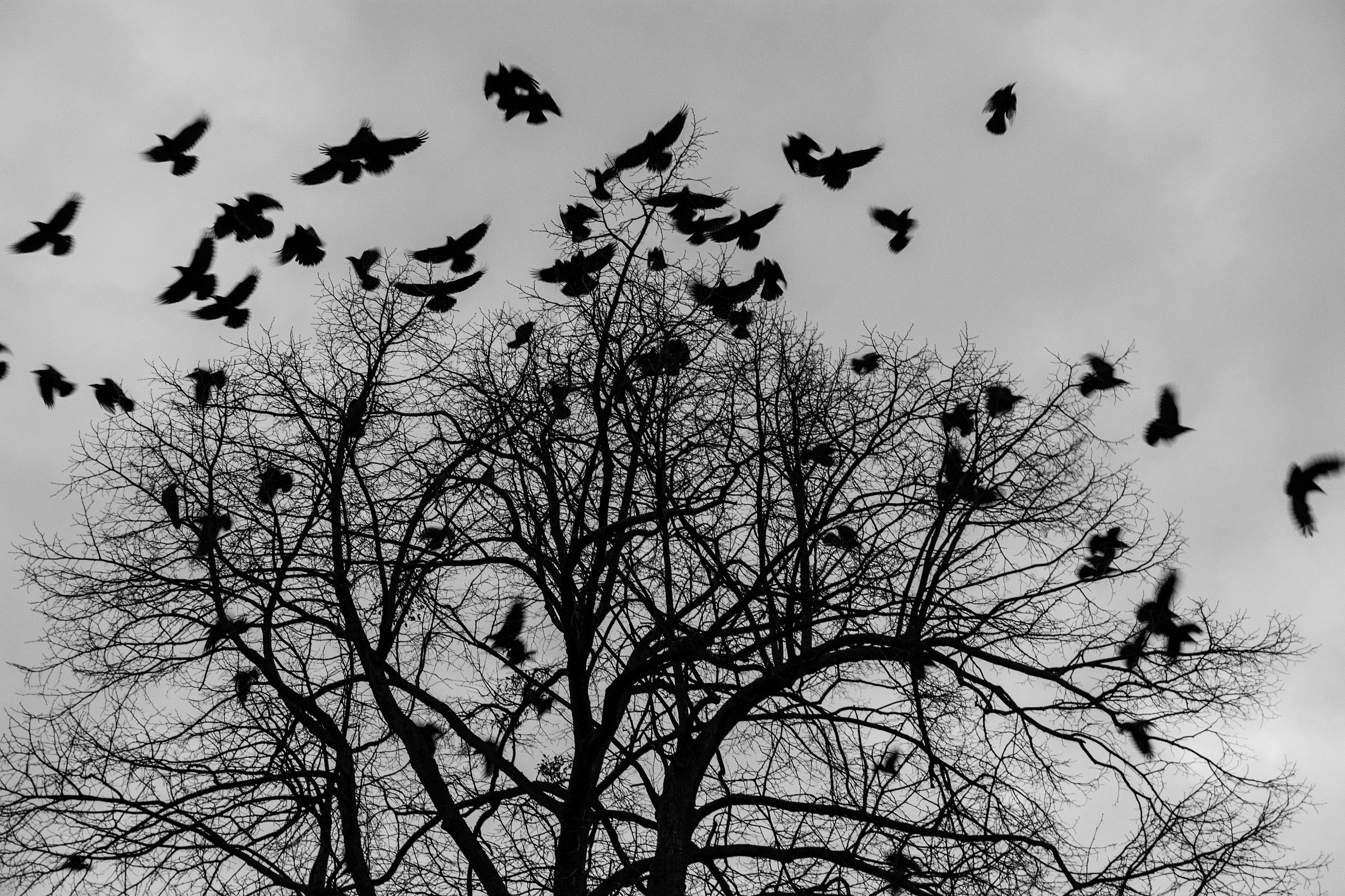 Provate a parcheggiare l'auto sotto quei × :)