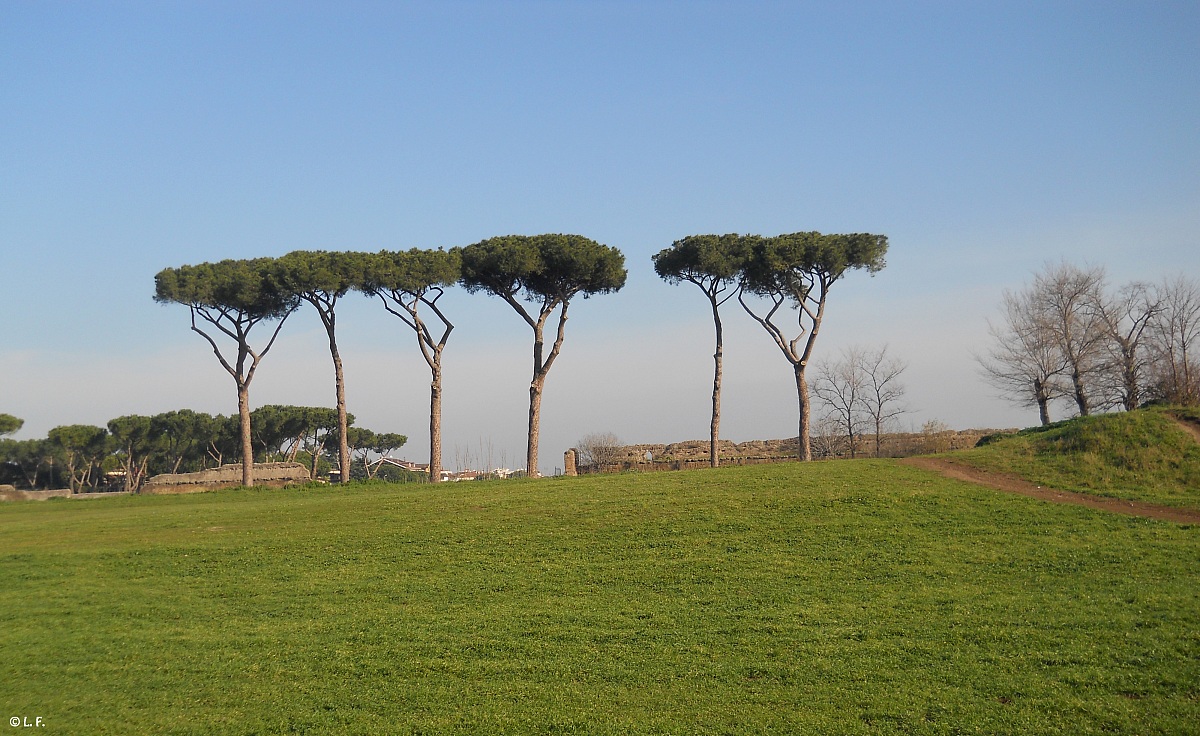 Park of the aqueducts