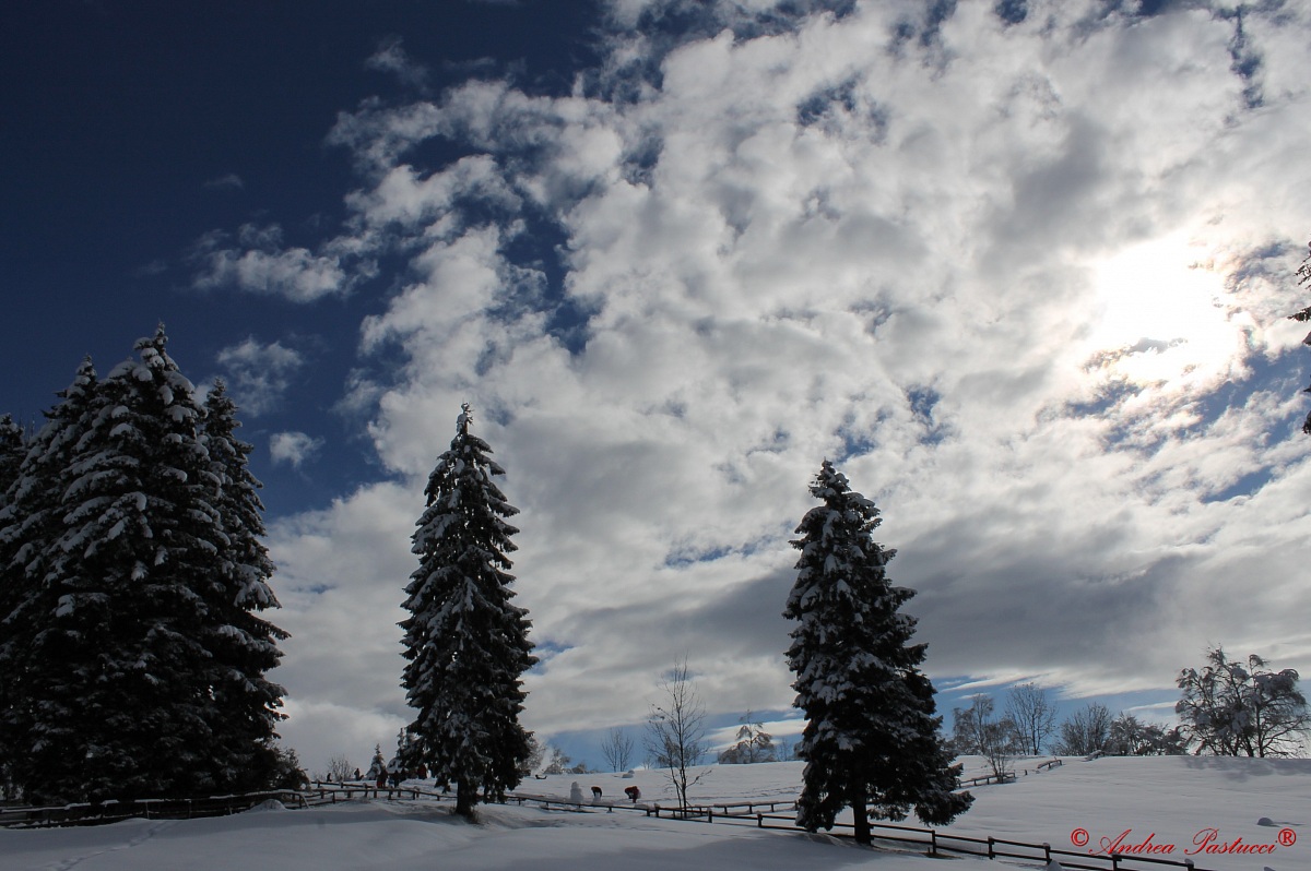 vertically towards the clouds