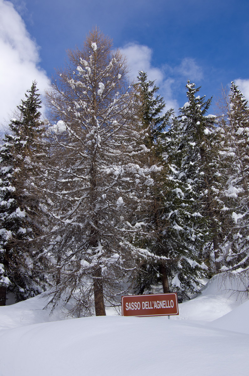 Vintage Doc for snow