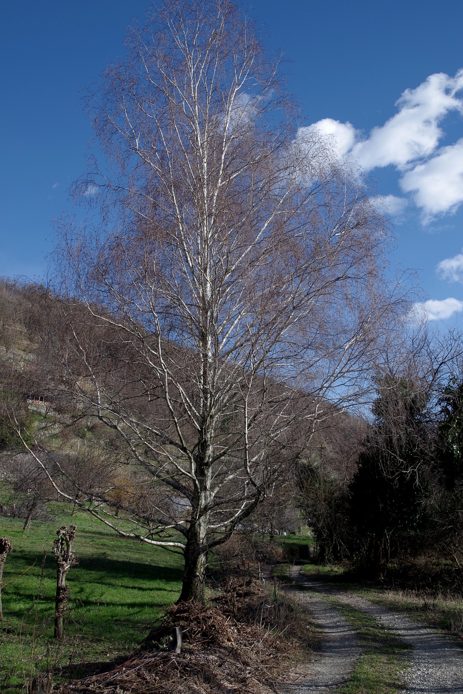 c'è aria di primavera...