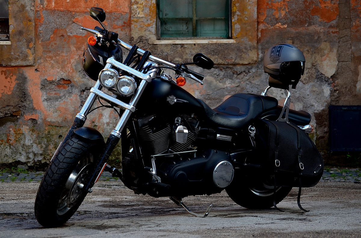 Fat Bob - Harley Davidson