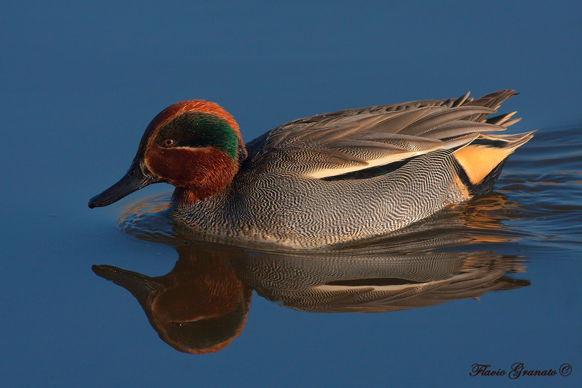 the mirror - no crop