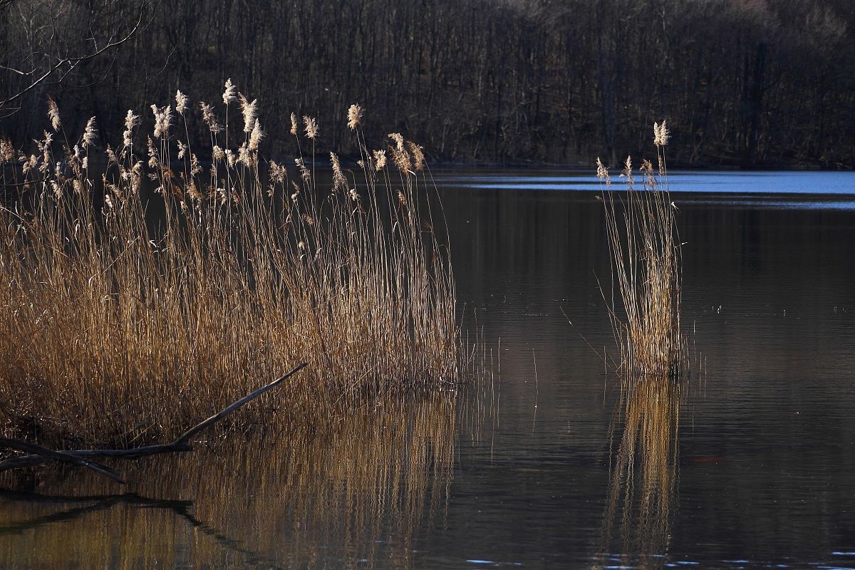lago di avigliana