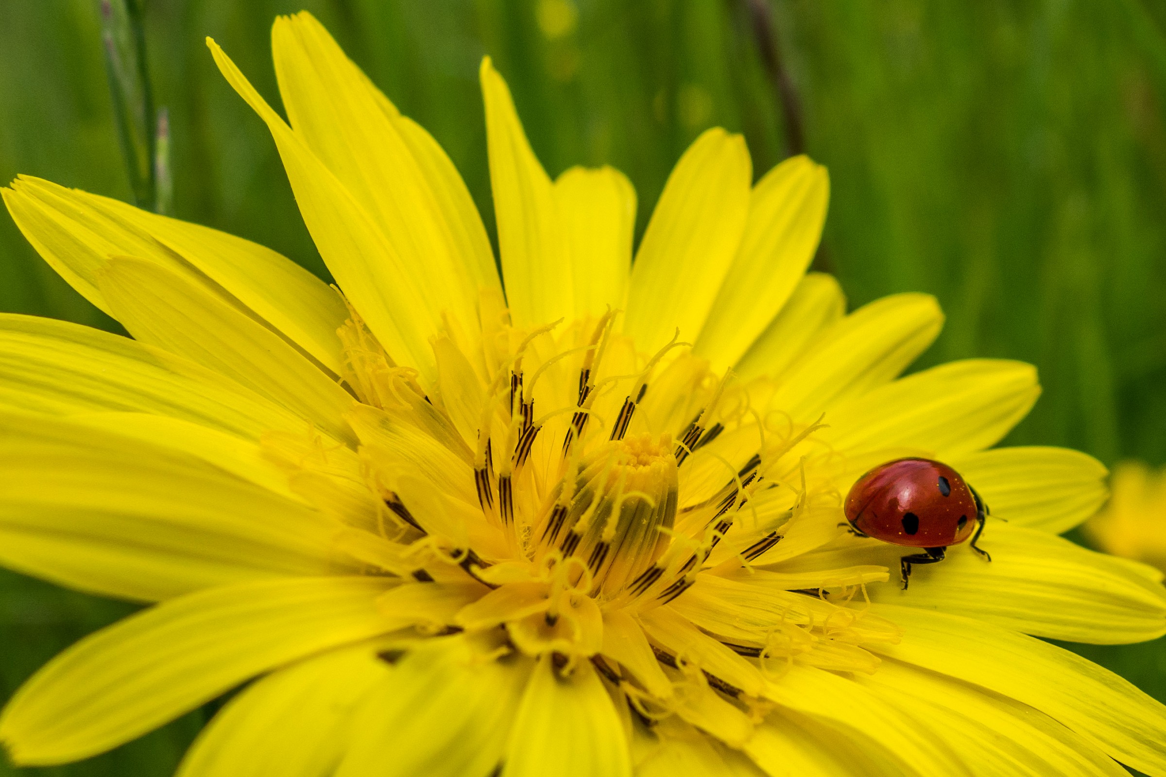 just ..... I'm leaving!