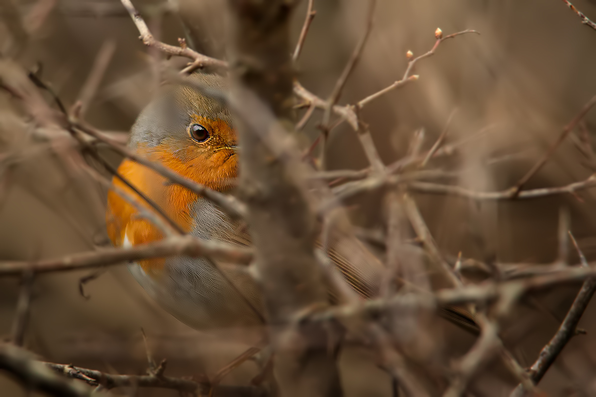 A Maf rather .... difficult ..!