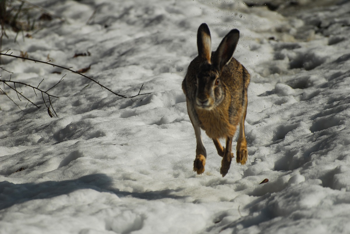 Incontri ravvicinati