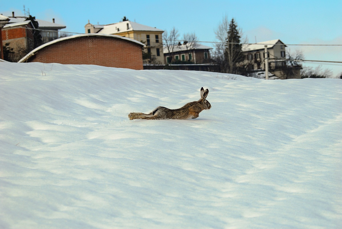 Incontri ravvicinati