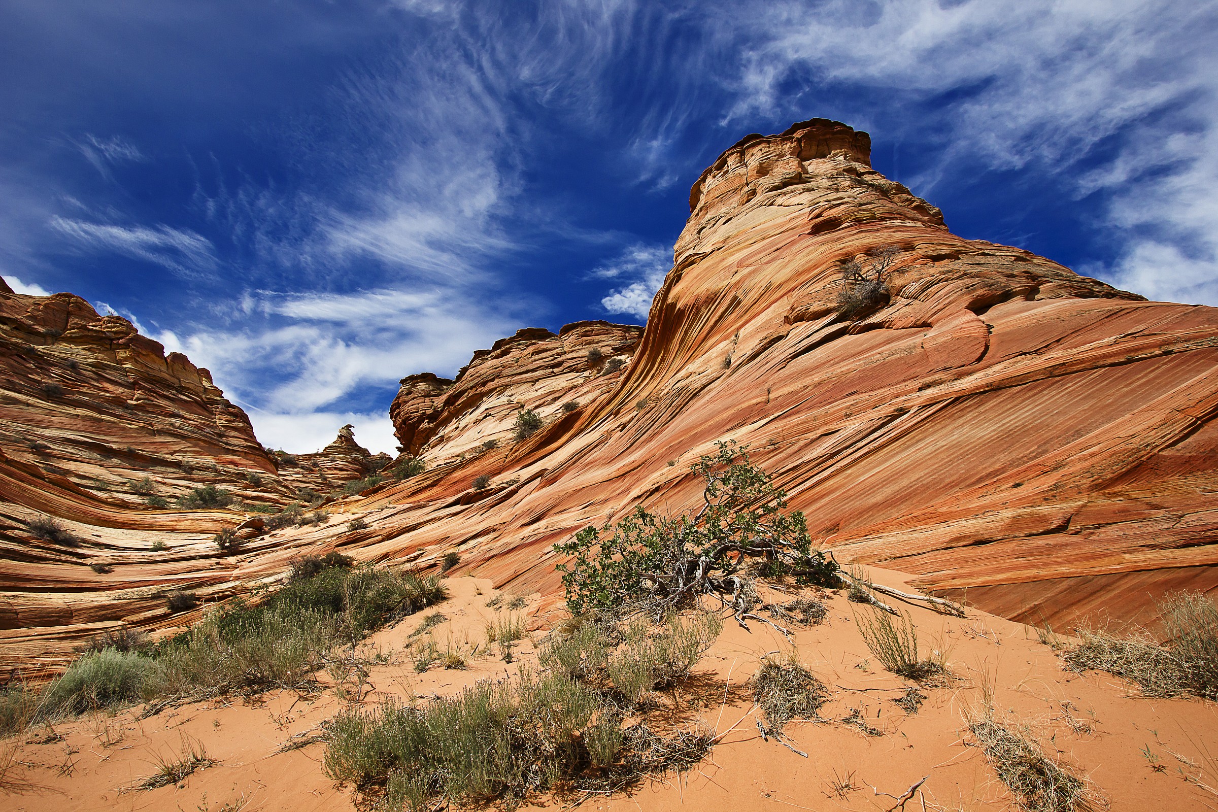 South Coyote Butte, Utah