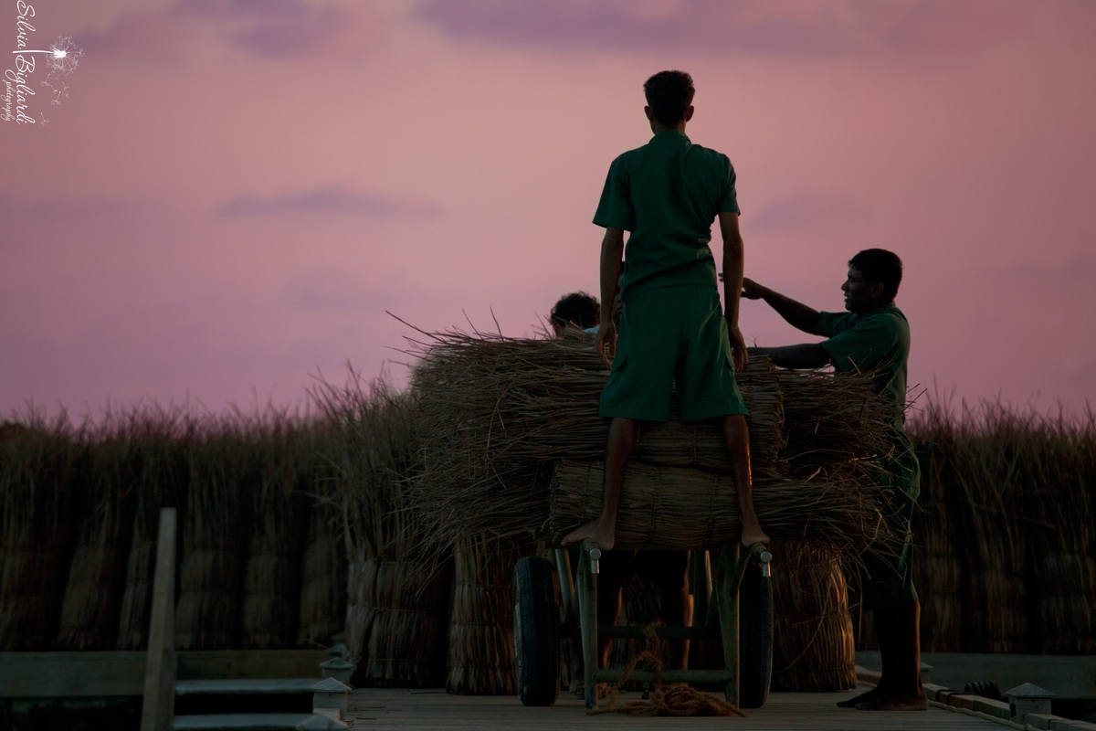 Toil in the Maldives