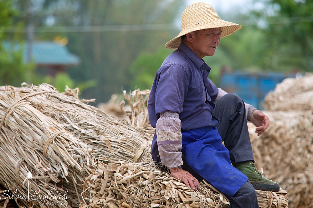 Il riposo dopo la raccolta