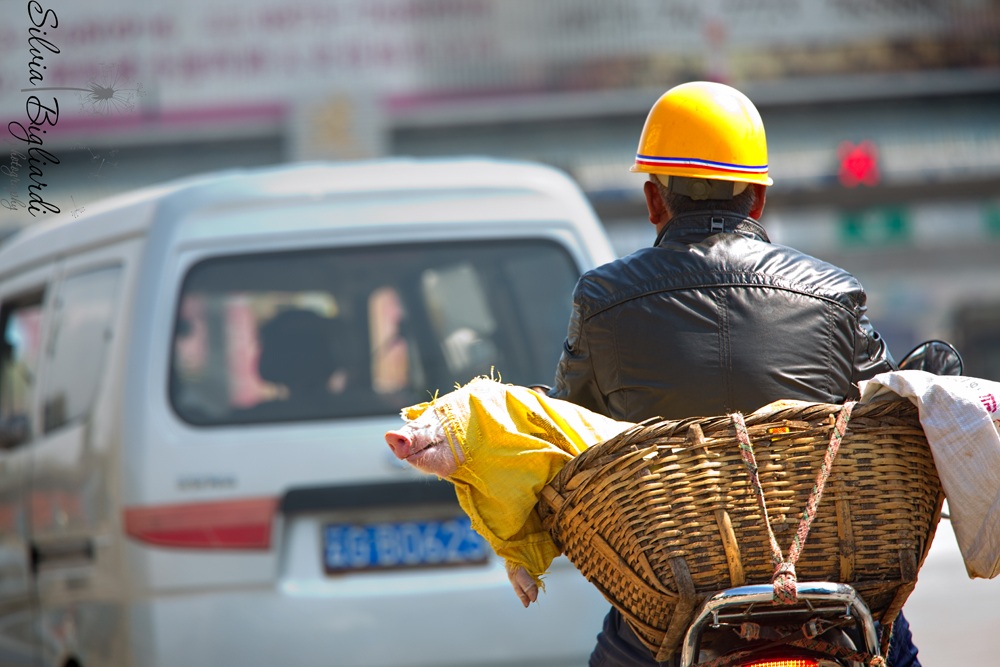 According to a passenger with helmet