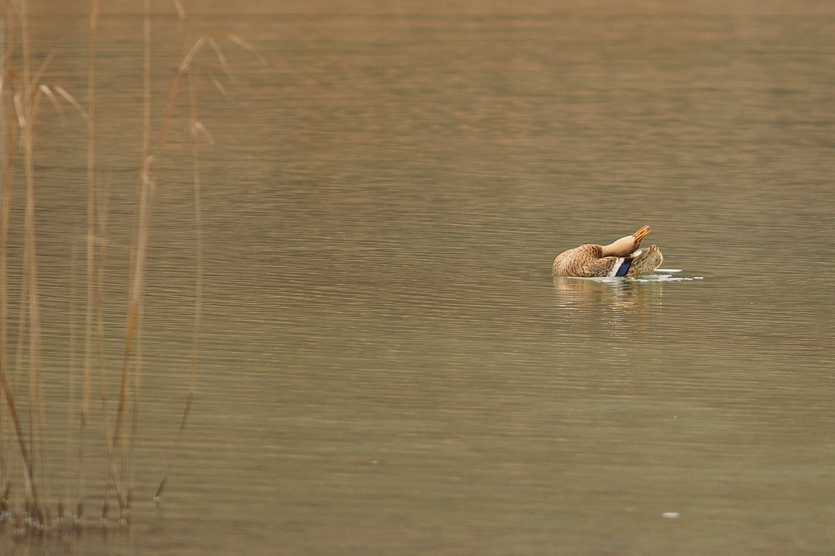 Today my head is spinning