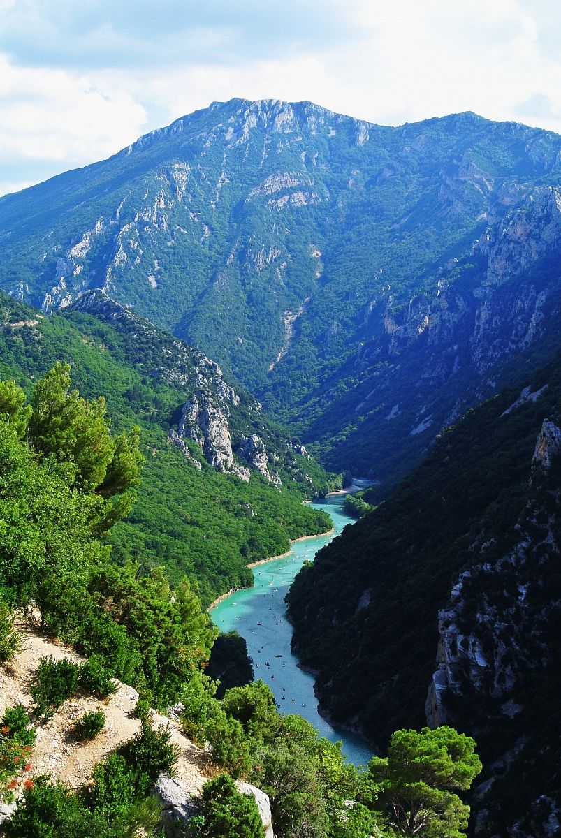 verdon