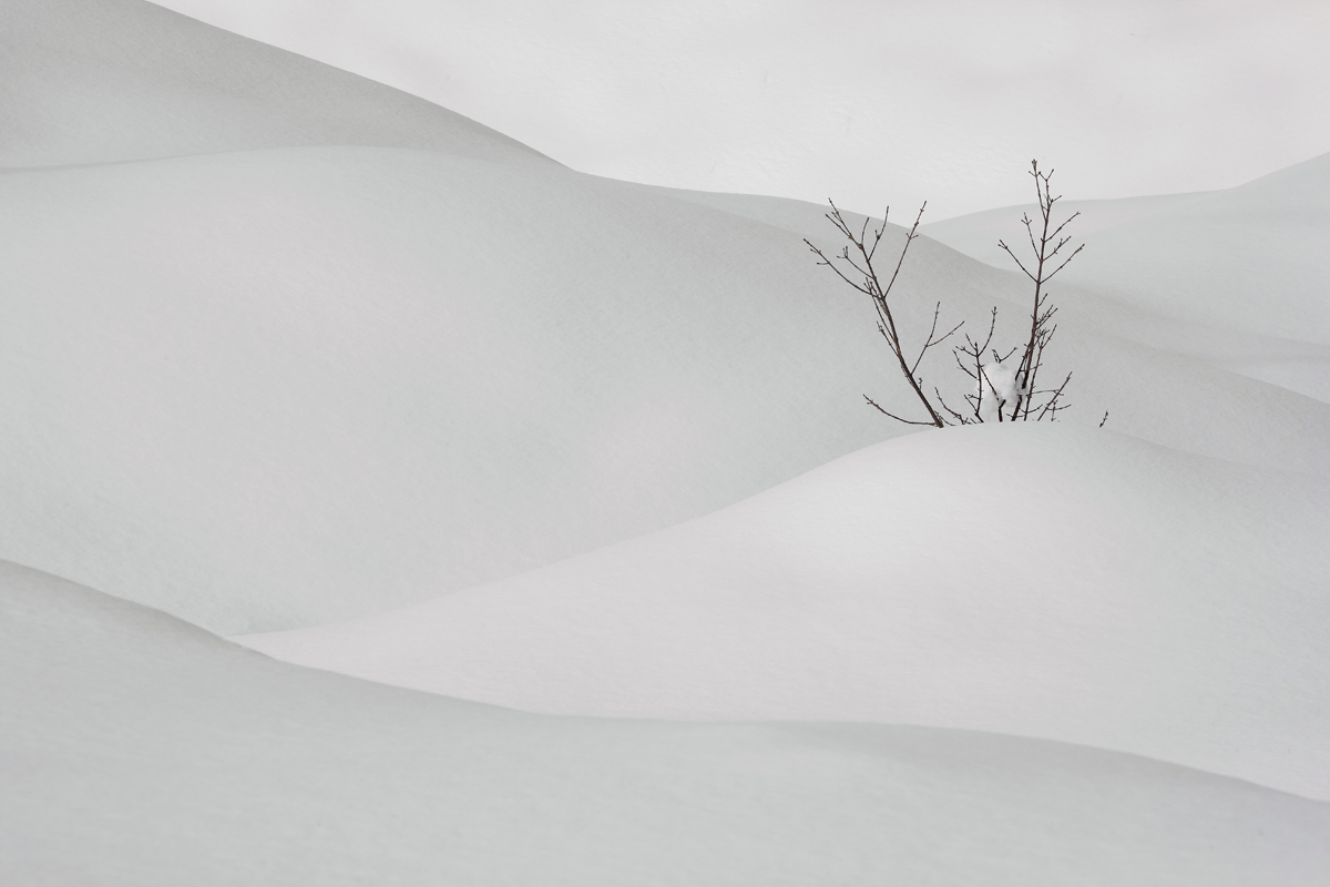 Dune di neve