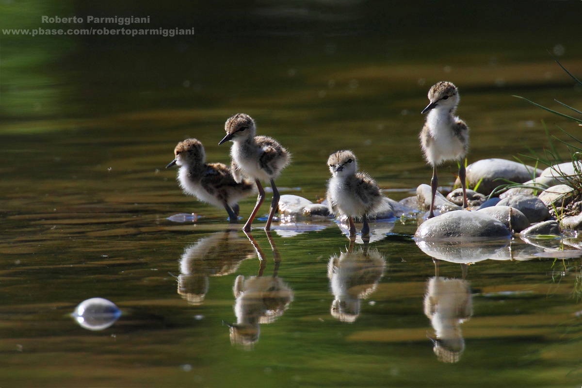 Inizio di una nuova vita