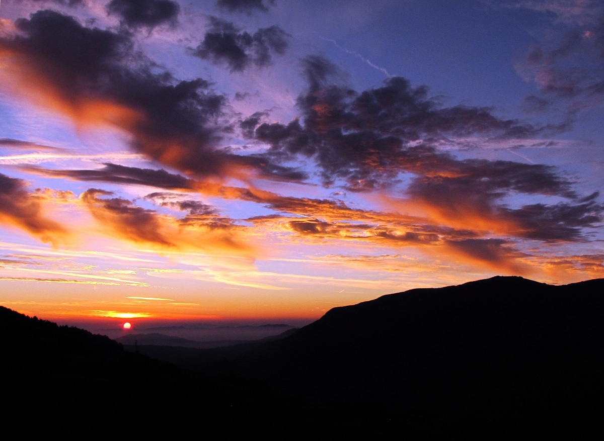 when you wake up in the morning and ...........