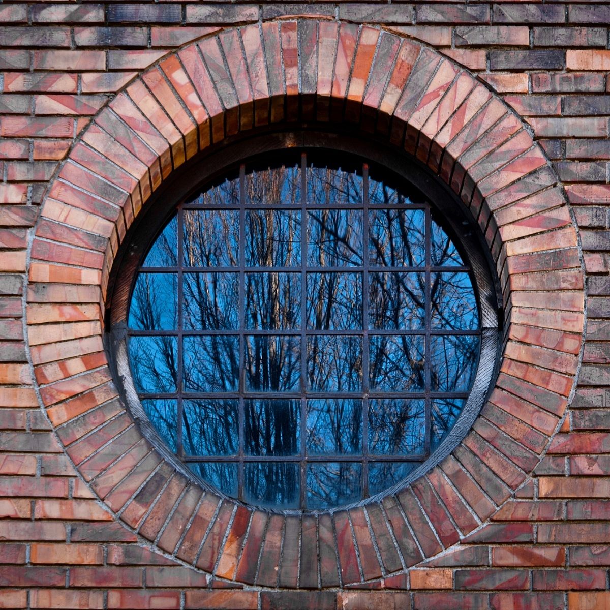 Reflections .. behind bars ..