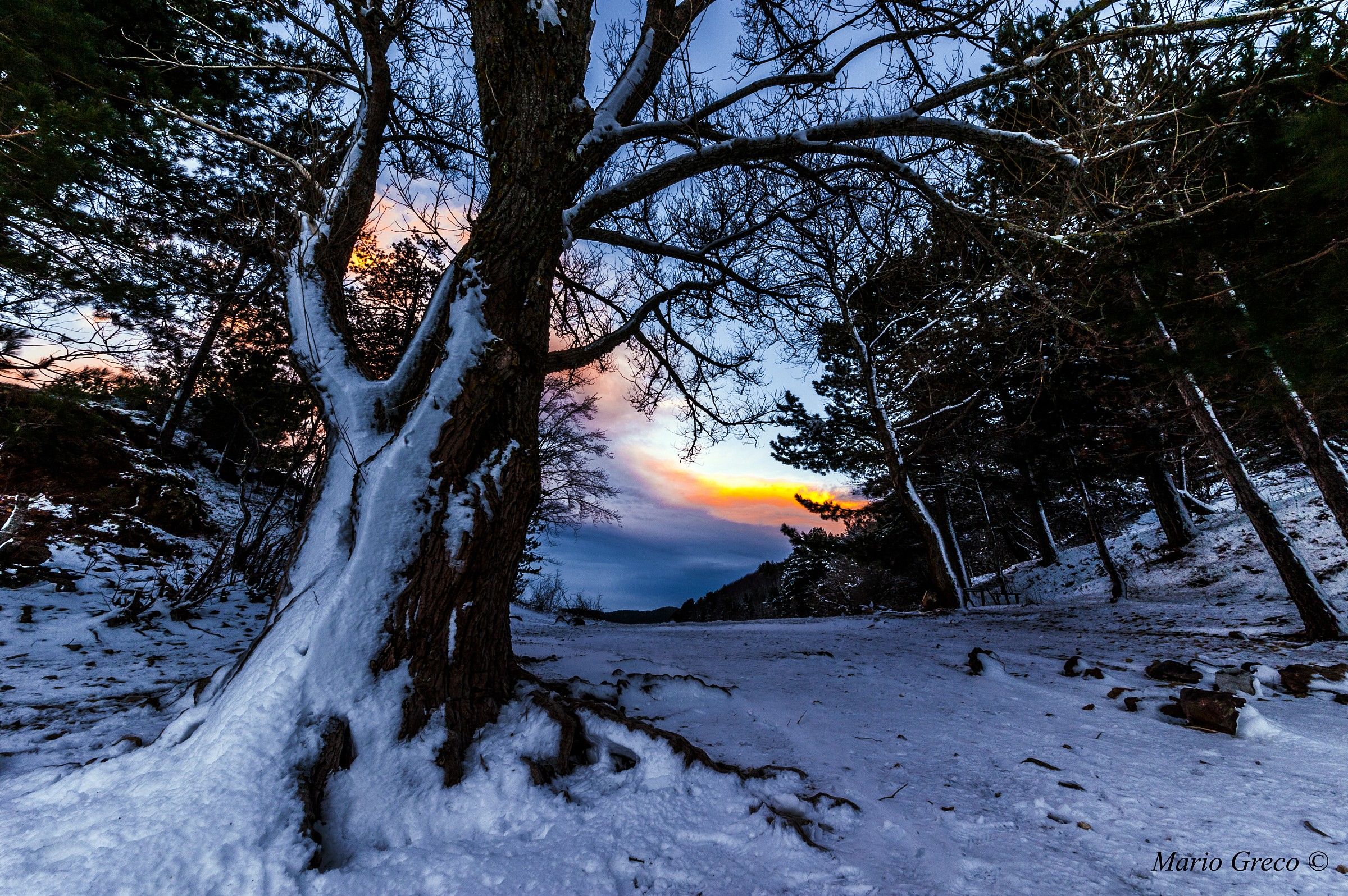The Direction of the Wind