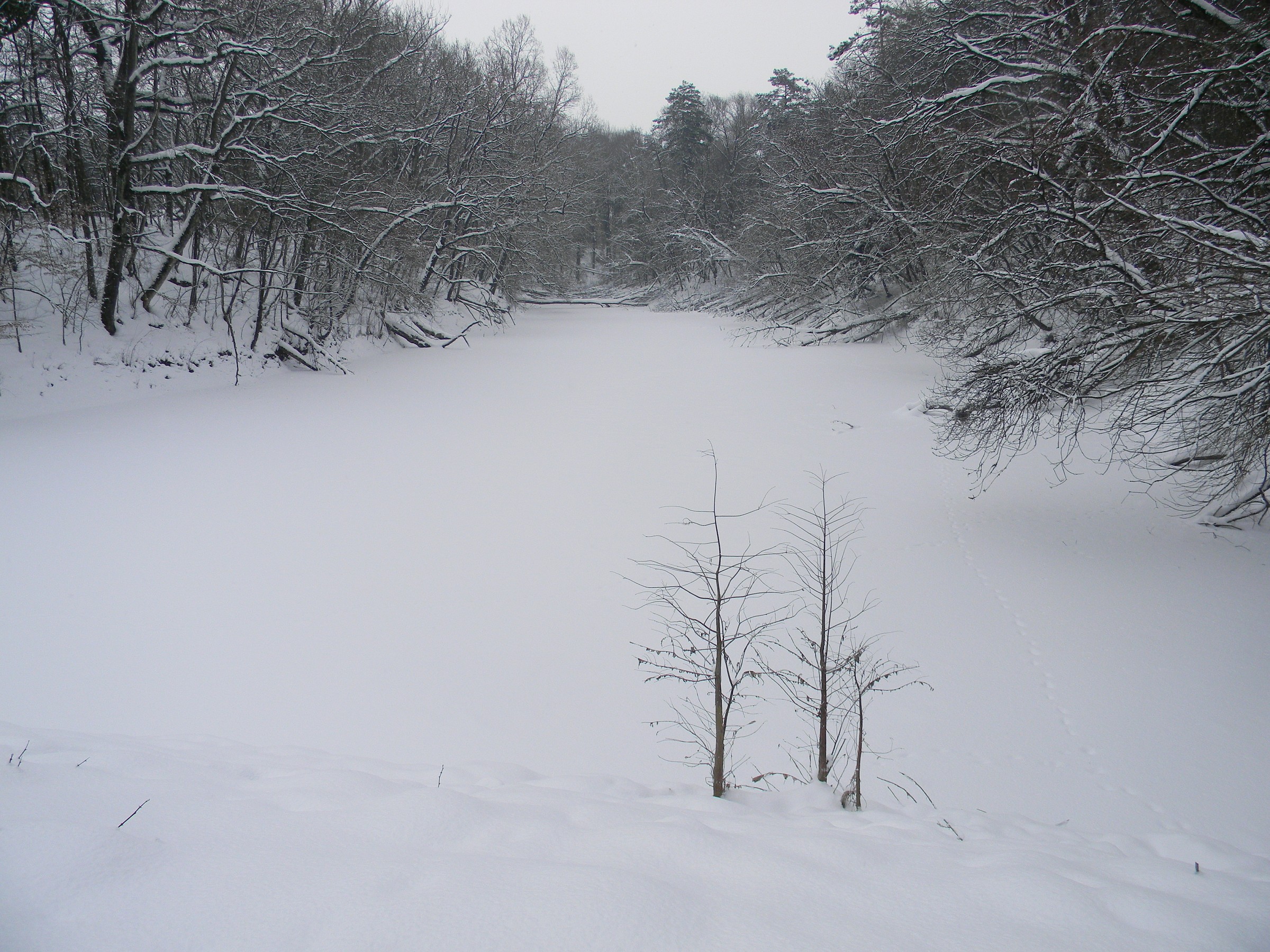 Winter Po (Lake Of Shuttles)