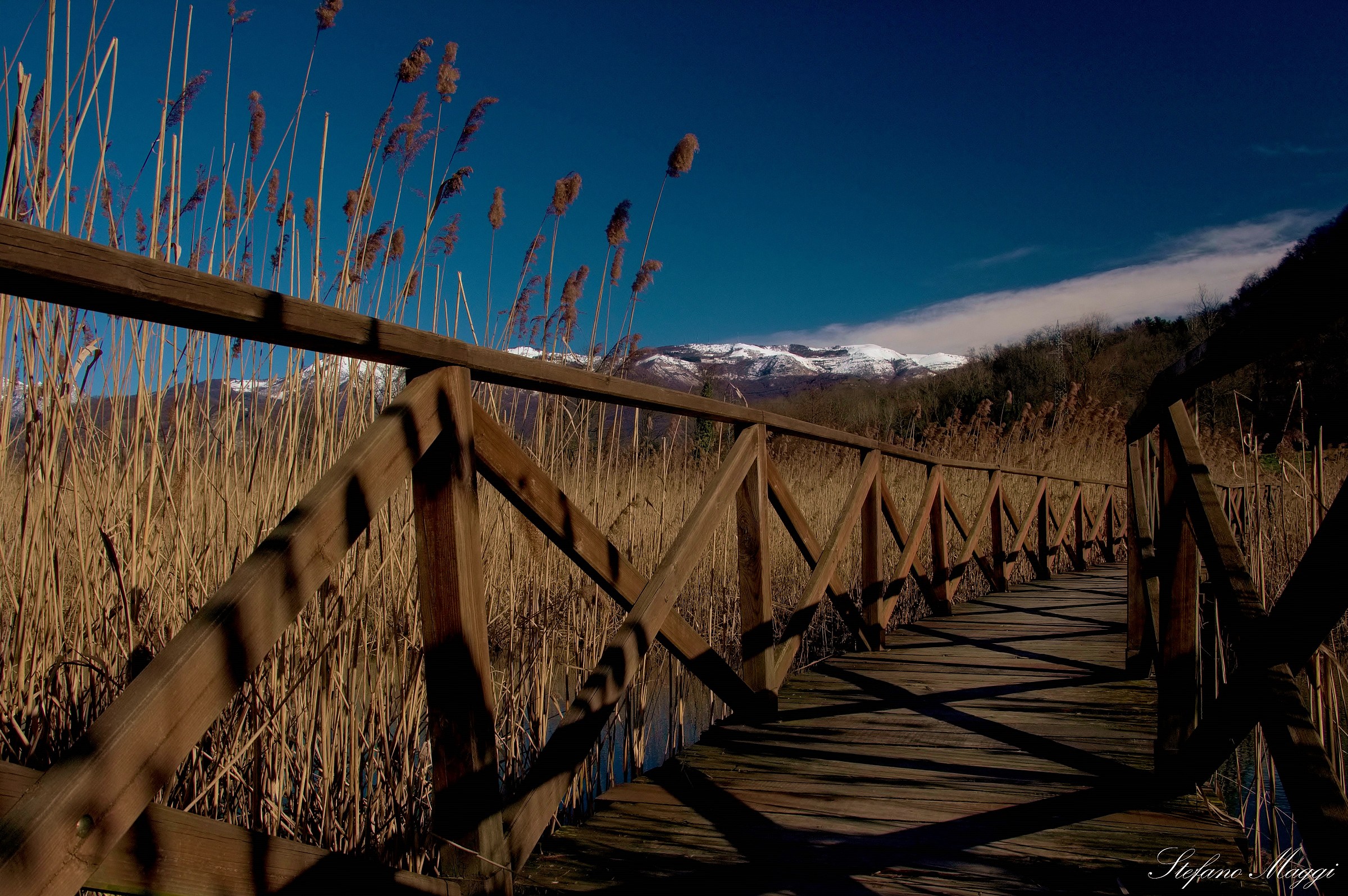 Oasi naturalistica a Brivio
