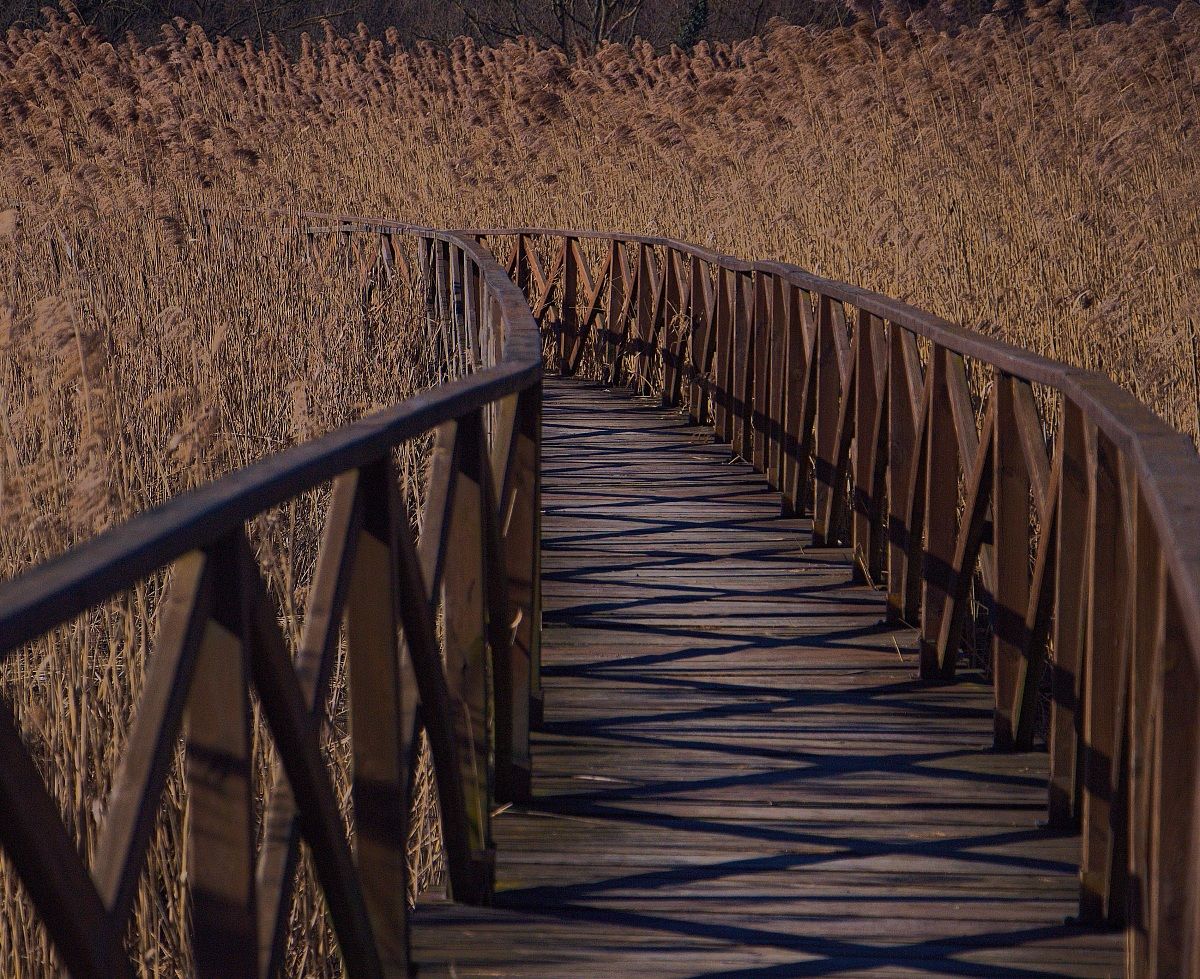 Oasi naturalistica a Brivio II