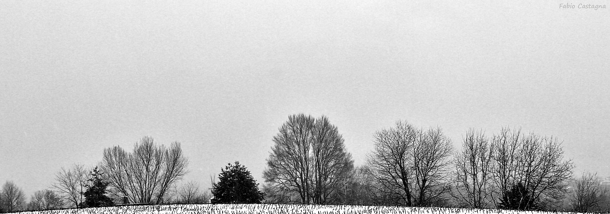 Nel bianco geometricamente diversi