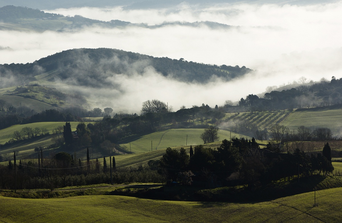 Prima che la nebbia si dissolva
