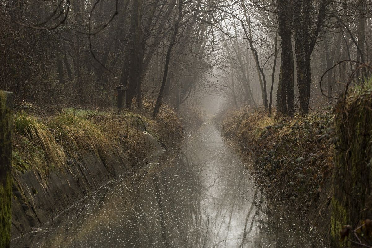 L'incanto della natura