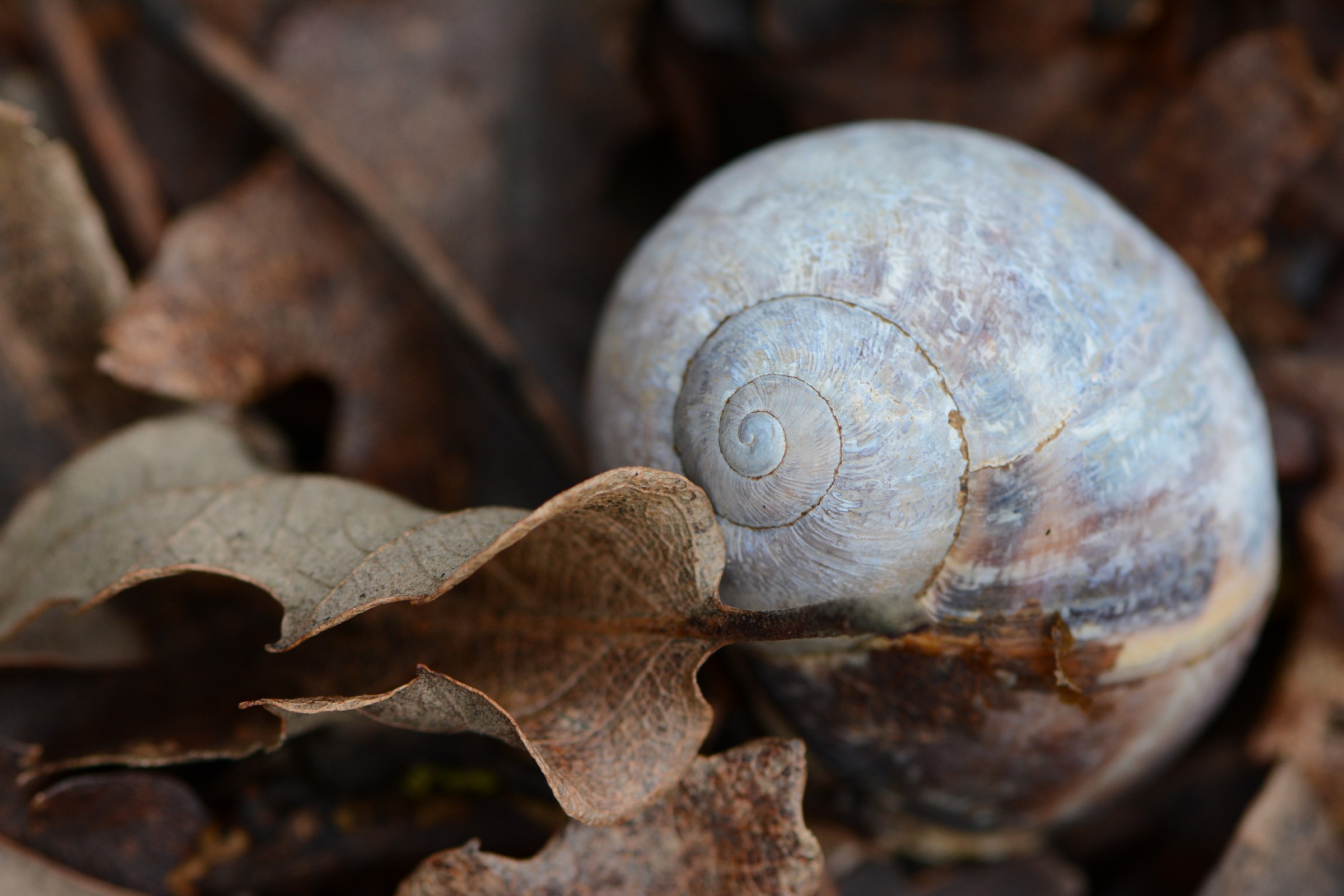 Abandoned houses ...