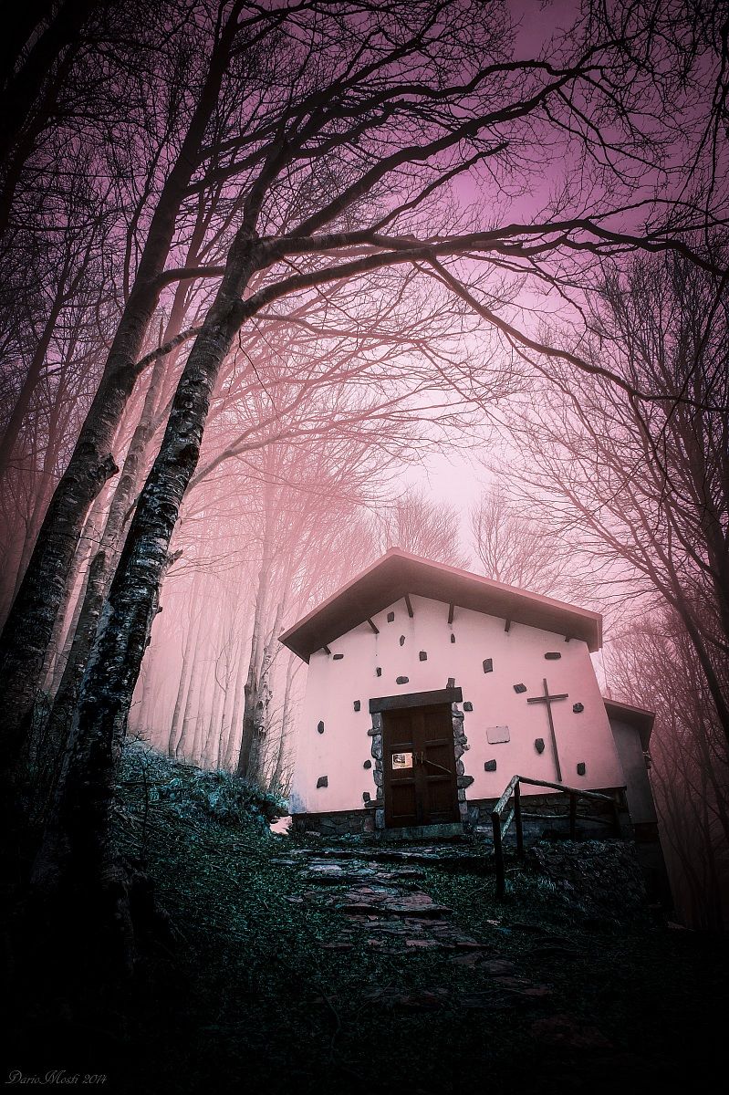 La Chiesa nel bosco....