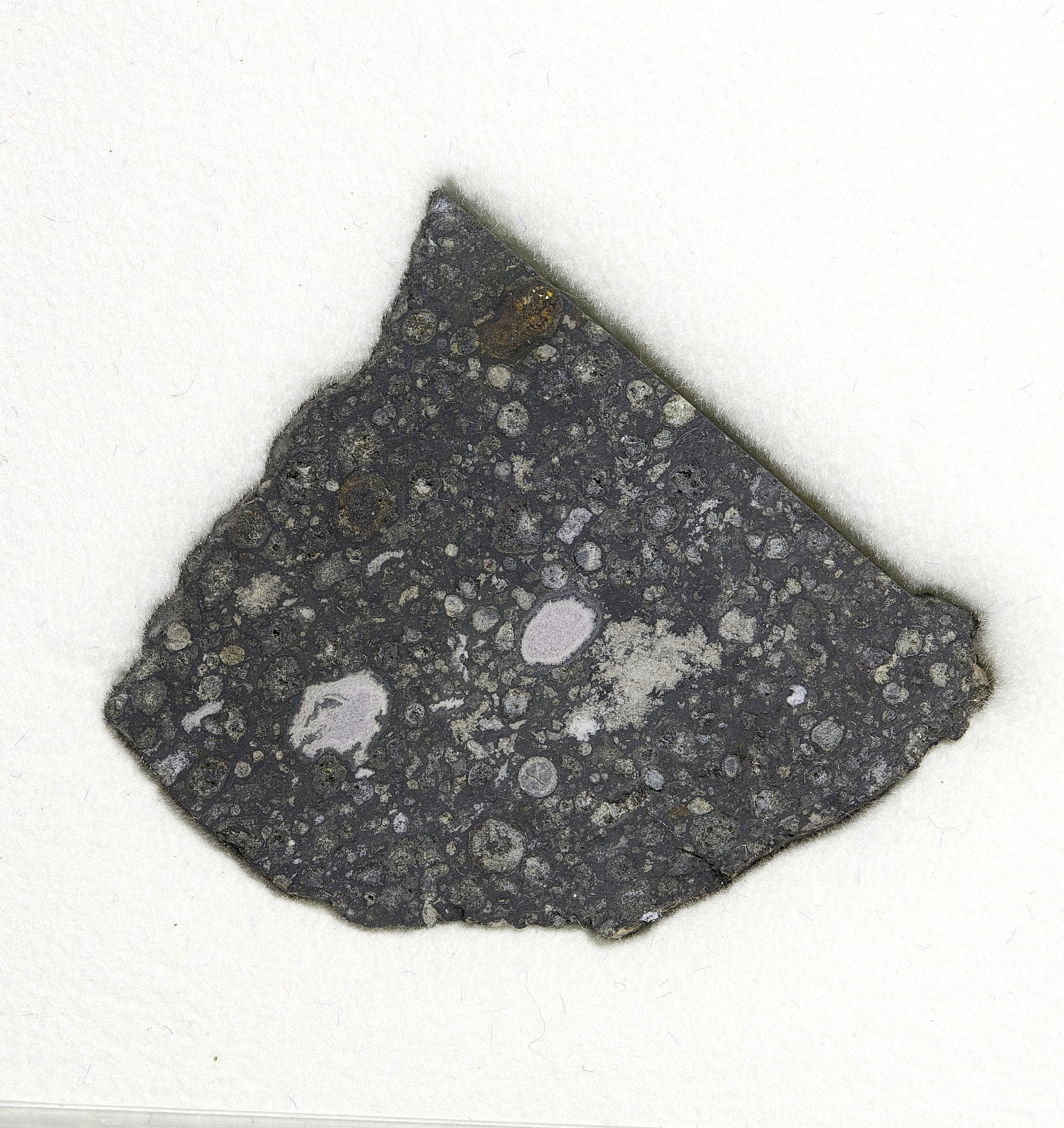 I mattoni della vita