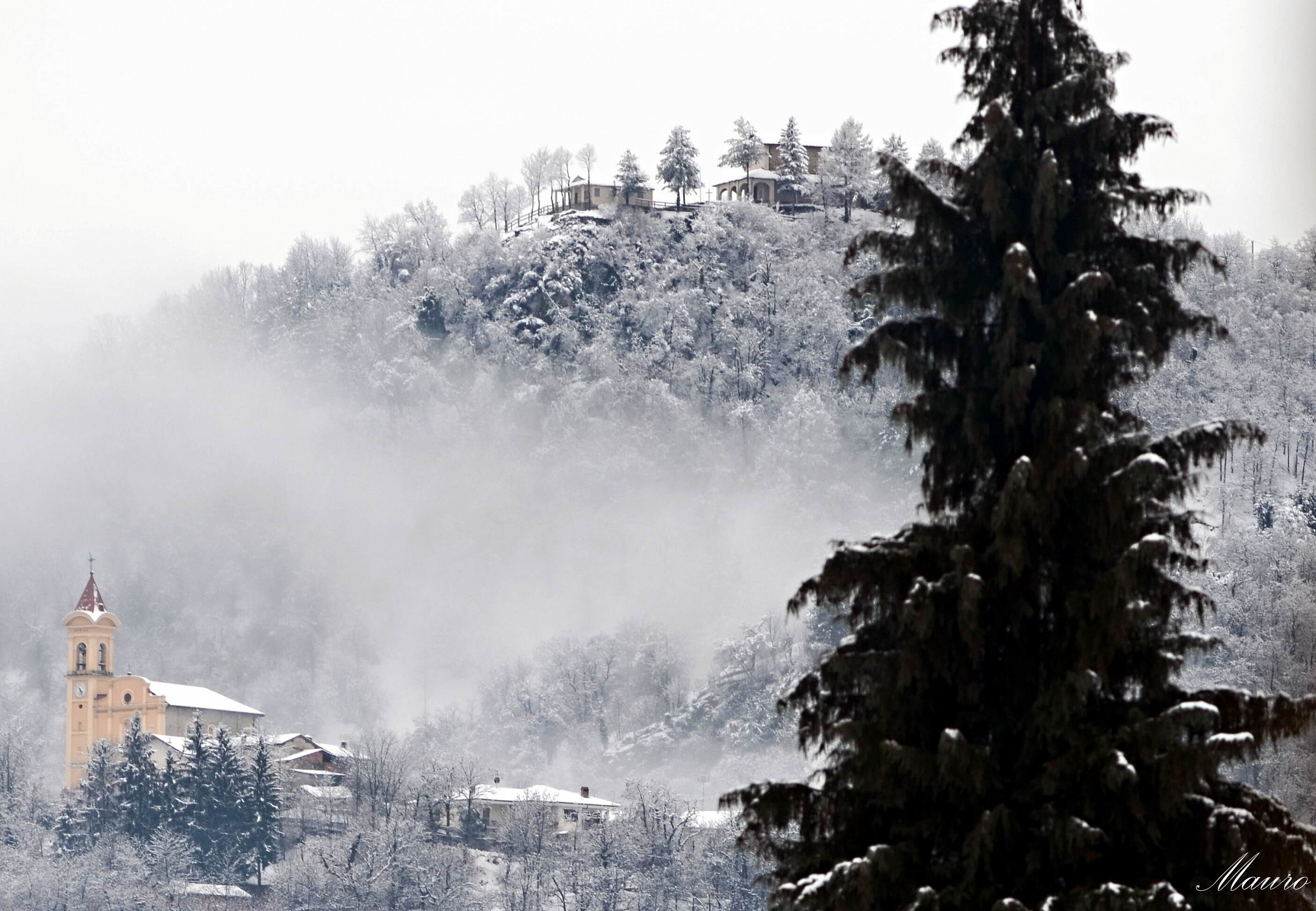 Paesaggio nella nuvola di neve