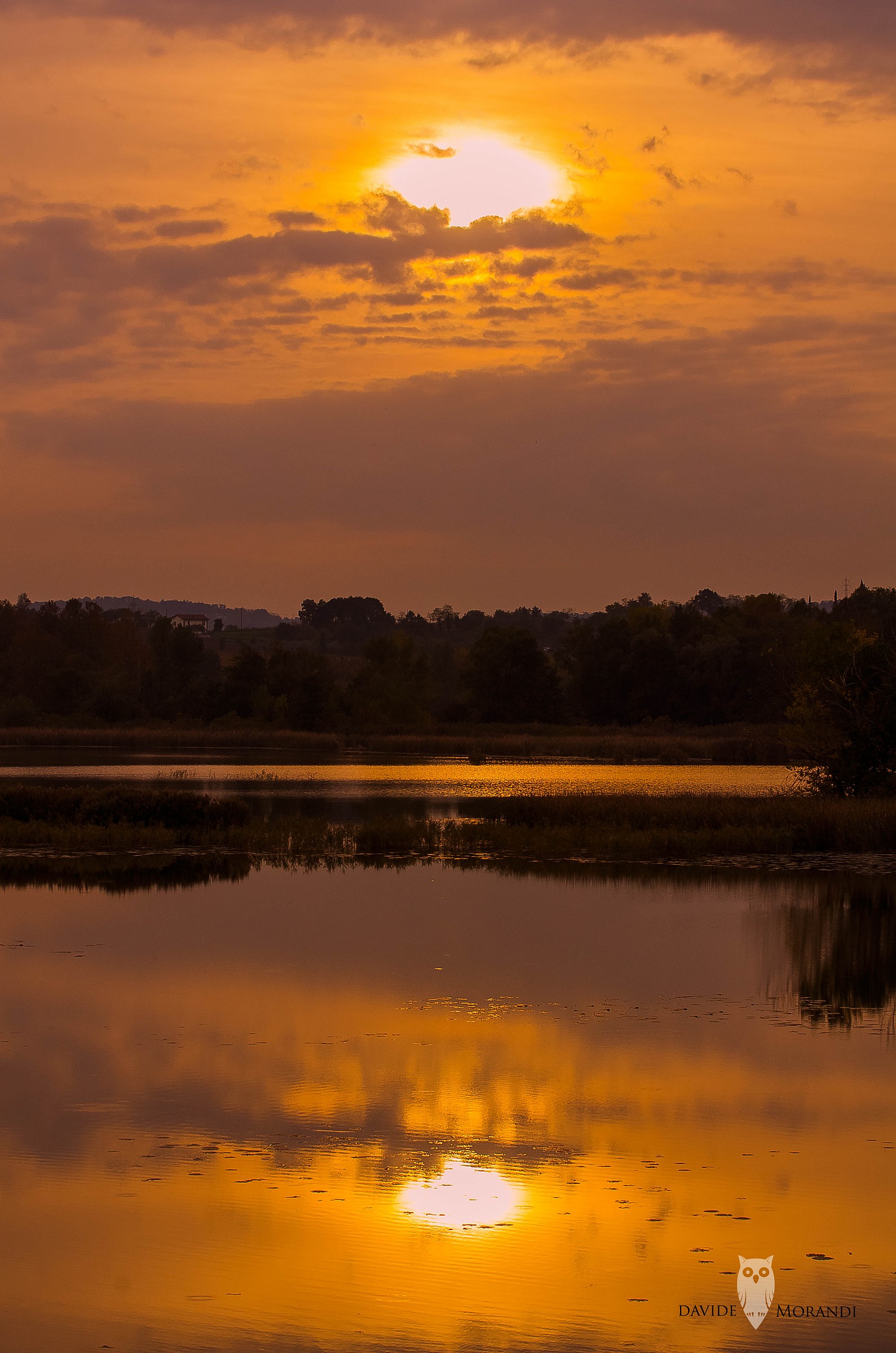 Tramonto in torbiera
